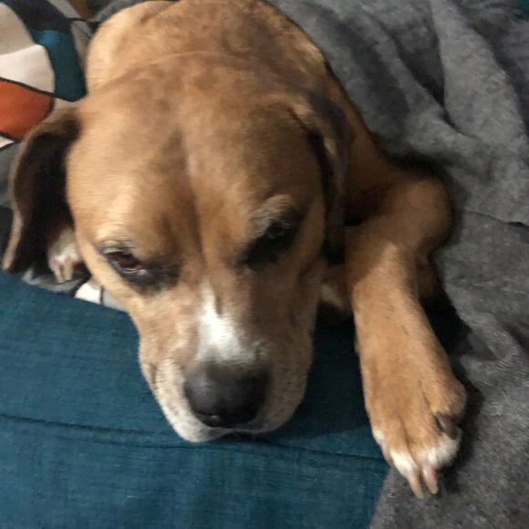 Meet your Posher, Maria - Picture 2 of 3